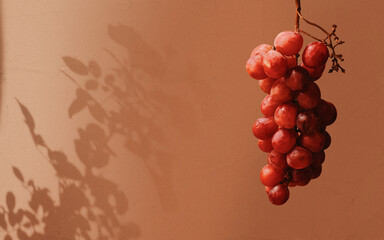 Fototapeta premium Red Grapes Still Life with Natural Shadow on Warm Background