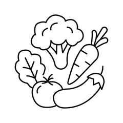 Fototapeta premium Fresh vegetables line icon set of outline vector illustration for healthy food concept.