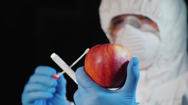 A scientist in a protective suit and mask takes a swab from an apple surface with a cotton swab for research.