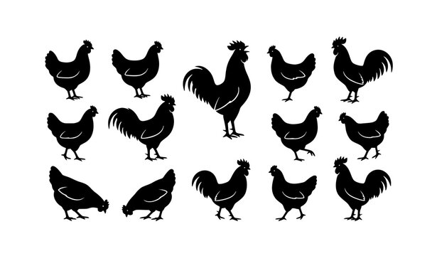 Black and white hen and rooster vector silhouettes isolated on white background