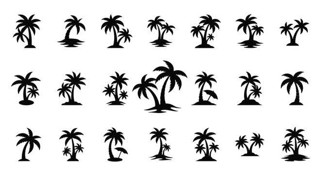 Ancient Chinese oracle bone script characters in black ink.