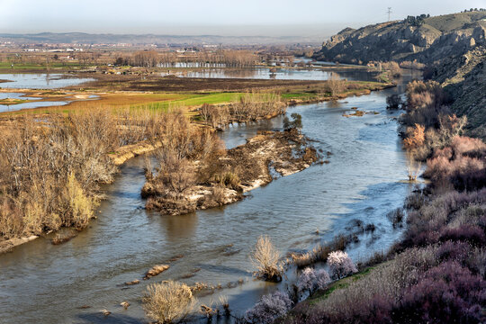 Rio Jarama y humedales