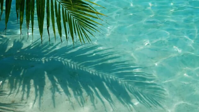 Shadow pattern on water from palm tree, calm tropical scene