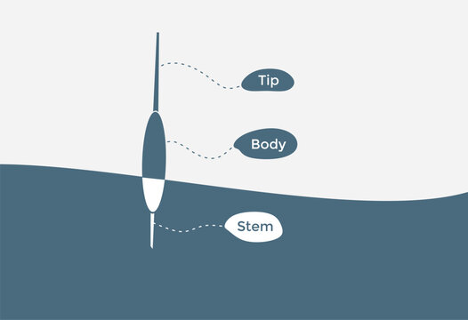 Fishing float diagram with labeled parts: tip, body, and stem. Simple, modern illustration, perfect for educational, hobby, or infographic content. 