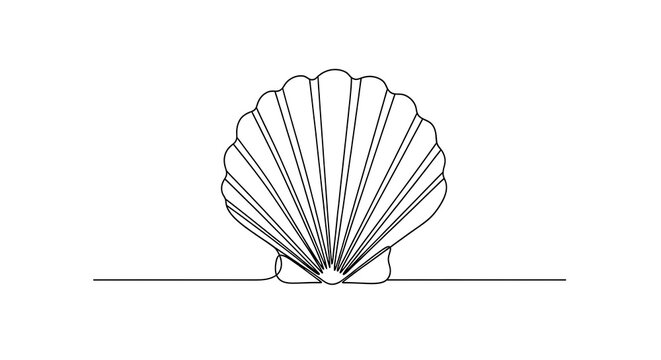 Continuous line drawing of a seashell