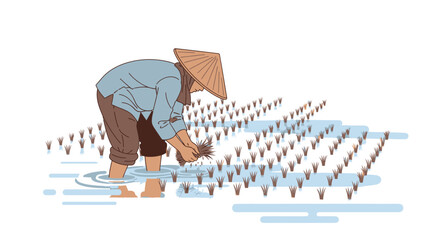 Fototapeta premium Farmer planting rice seedlings in paddy field vector illustration