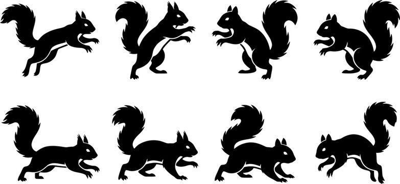 Eight detailed black squirrel silhouettes in playful jumping and running poses for wildlife graphic design