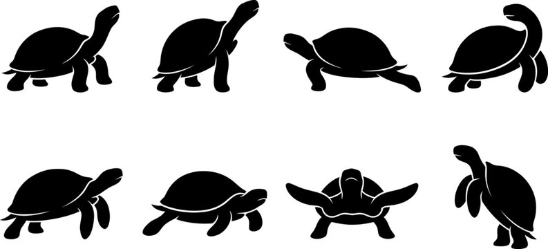 Eight black tortoise silhouettes in diverse walking and swimming poses isolated on white background for design