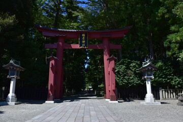 新潟県 弥彦村の彌彦神社（弥彦神社） © Via Nova