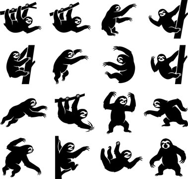 Collection of sloth silhouettes in various climbing and hanging poses isolated on white background as vector graphic