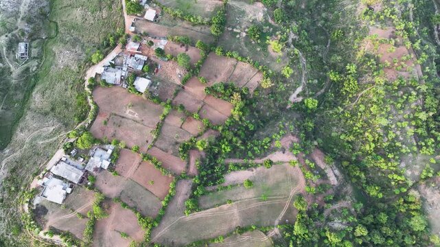 Top-down aerial view of geometric terrace farming and stepped agricultural fields in rural India.