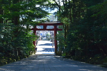 新潟県 弥彦村の彌彦神社（弥彦神社） © Via Nova