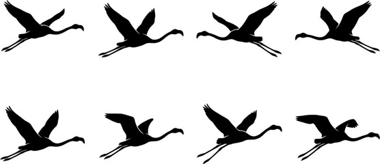 Collection of flamingo silhouettes in diverse flight poses for tropical branding and wildlife graphic design © Vecto_Pixels