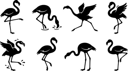 Collection of eight elegant flamingo bird silhouettes in various standing and feeding poses for tropical design themes © Vecto_Pixels