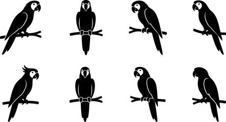 Collection of black parrot silhouettes perched on branches for tropical bird themed graphic design and illustrations © Vecto_Pixels