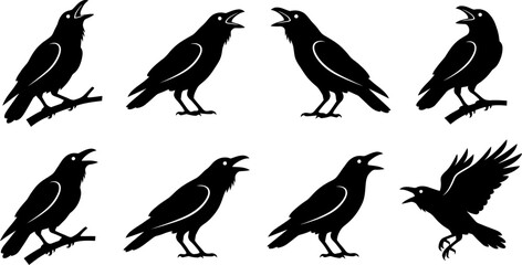 Obraz premium Set of eight crow bird silhouettes in various poses including cawing and flying isolated on a white background vector