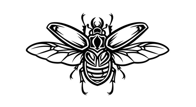 Intricate black and white beetle illustration on white background