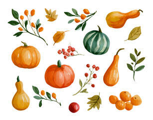 Fototapeta premium Autumn Harvest Watercolor Elements Collection