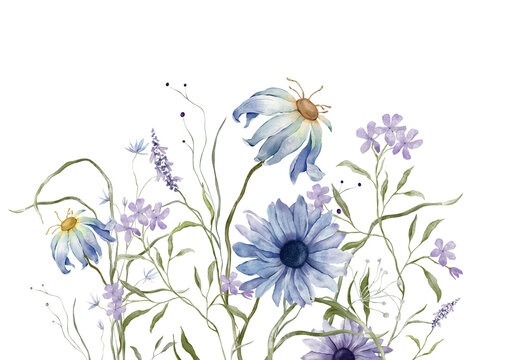 Watercolor design elements of bouquet depicting a blue wildflower botanical chamomile hand drawn illustrations. Composition delicate of purple phlox, lavender wildflower herbs on isolated background.