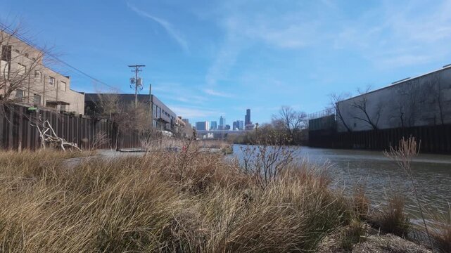 A low angle view of the City of Chicago with the Chicago River and Spring Foliage in the foreground.