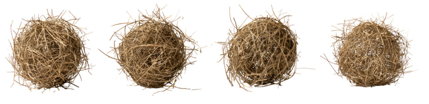 Four Tumbleweeds Isolated on White Background