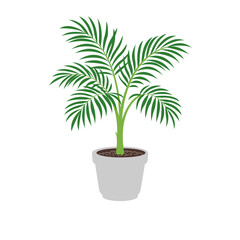 Obraz premium Potted Palm Tree Vector Illustration, Indoor Palm Tree