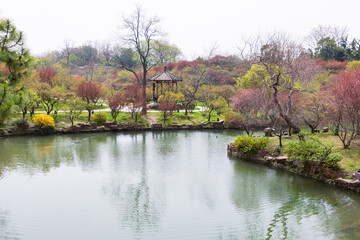 Obraz premium Chinese garden landscape in spring