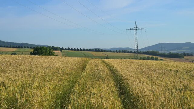 Getreidefeld mit dominierenden &Uuml;berlandleitungen, Sommer, Germerode, Geo Naturpark Frau-Holle-Land, Hoher Meissner, Hessen, Deutschland