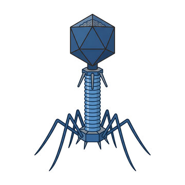 Bacteriophage T2 Virus Isolated on Transparent Background