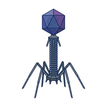 Bacteriophage T2 Virus Isolated on Transparent Background