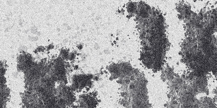 Abstract monochrome speckled texture with organic dark patches resembling moss or lichen on a textured surface