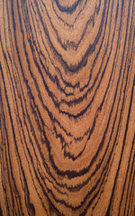 Fototapeta premium Tree ring pattern texture background 