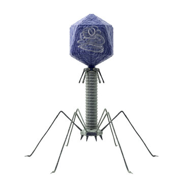 Bacteriophage T2 Virus Isolated on Transparent Background