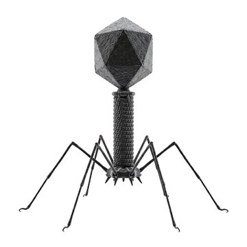 Bacteriophage T2 Virus Isolated on Transparent Background