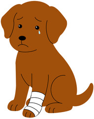 Fototapeta premium an injured dog