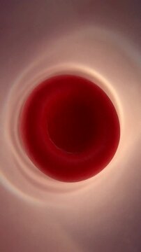 Close-up view of a red blood cell showcasing its unique shape and vital role in the human circulatory system.