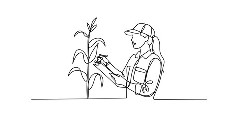 Fototapeta premium Farmer Inspecting Corn Plant Growth in Field, Agricultural Research and Cultivation