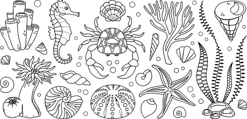 "Black and White Collection of Marine Life Including Seahorse, Crab, Starfish, and Sea Shells" © Shakhawat
