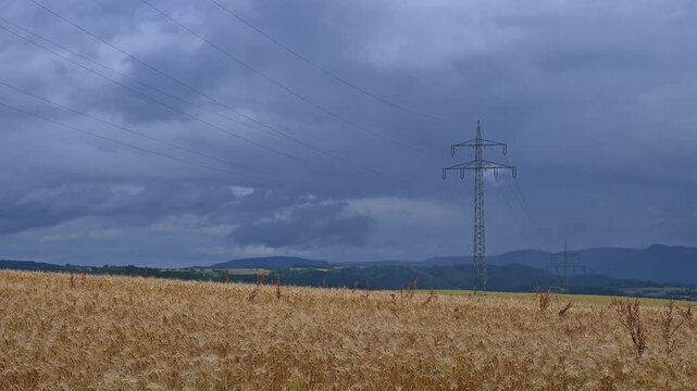 Getreidefeld unter einem bew&ouml;lkten Himmel mit dominierenden &Uuml;berlandleitungen, Sommer, Germerode, Geo Naturpark Frau-Holle-Land, Hoher Meissner, Hessen, Deutschland