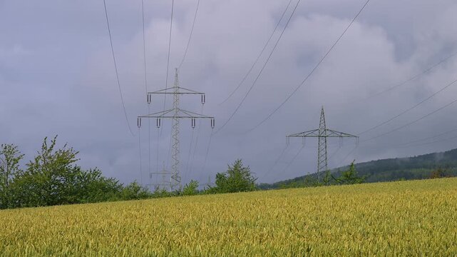Getreidefeld unter einem bew&ouml;lkten Himmel mit dominierenden &Uuml;berlandleitungen, Sommer, Germerode, Geo Naturpark Frau-Holle-Land, Hoher Meissner, Hessen, Deutschland