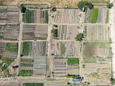 Aerial view of organized community garden plots with various vegetable crops, dirt paths, and small agricultural structures in Ardales, Andalusia, Spain.