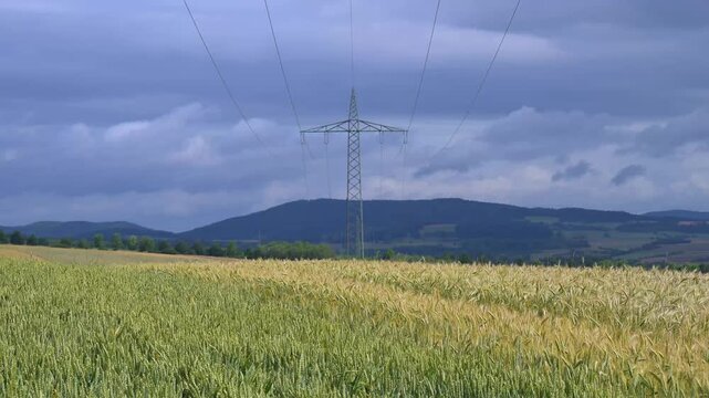 Getreidefeld unter einem bew&ouml;lkten Himmel mit dominierenden &Uuml;berlandleitungen, Sommer, Germerode, Geo Naturpark Frau-Holle-Land, Hoher Meissner, Hessen, Deutschland
