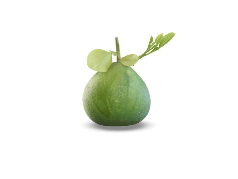 pomelo or Citrus maxima fruits isolated on a white background