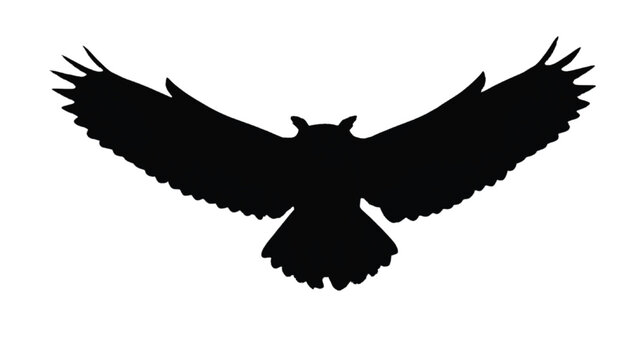 Owl silhouette with expansive wings spread wide creates a powerful and mysterious image, utilizing deep black tones and sharp feather textures to symbolize wisdom and nocturnal grace in design.