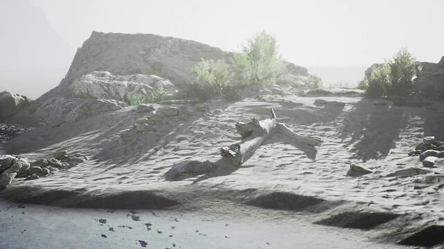 Low tide mudflat featuring fallen log and elongated shadows, wet sand reflecting pale sky, muted tones evoking contemplative mood for quiet study or landscape