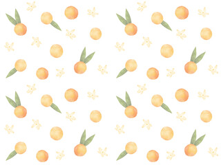 Obraz premium 水彩で描いたオレンジ色の実と花のかわいい背景イラスト