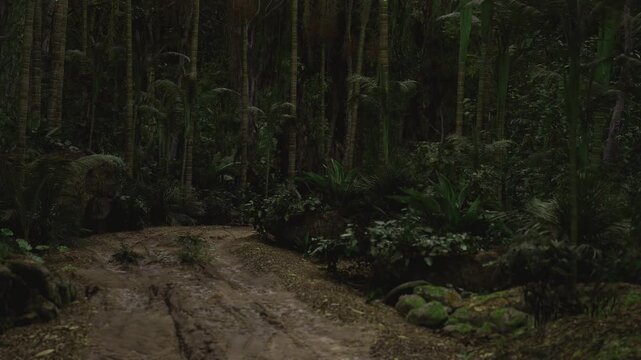 Abandoned dirt jump in dense forest, eroded lip and exposed roots, overgrown vegetation reclaiming track, gritty textures suggest past mountain biking activity
