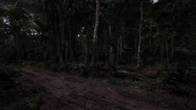Muddy dirt road edging shadowed forest, deep ruts and puddles suggesting recent rain, surrounding trees form dense wall and scene evokes solitude and rugged
