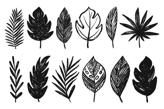 Grunge tropical leaves set. Brush stroke rough textured vector tropical leaf silhouettes, monstera, palm leaf, eucalyptus, coconut leaf.