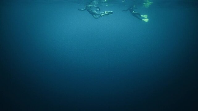 Underwater Arctic freedivers swimming beneath calm ocean surface in deep blue Norway water
